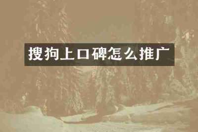 搜狗上口碑怎么推广