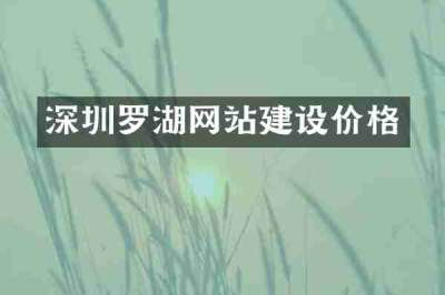 深圳罗湖网站建设价格