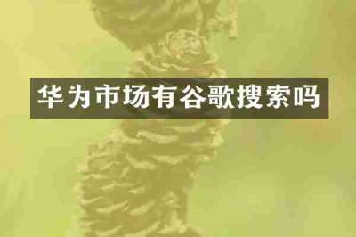 华为市场有谷歌搜索吗