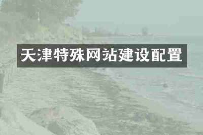 天津特殊网站建设配置