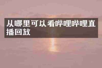 从哪里可以看哔哩哔哩直播回放