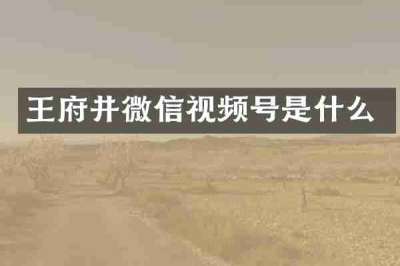 王府井微信视频号是什么