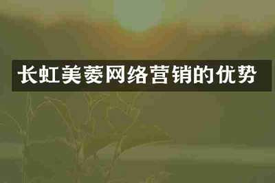 长虹美菱网络营销的优势