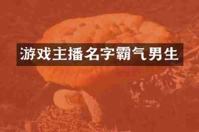 游戏主播名字霸气男生