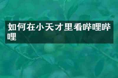 如何在小天才里看哔哩哔哩