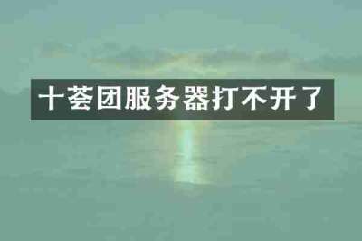 十荟团服务器打不开了