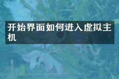 开始界面如何进入虚拟主机