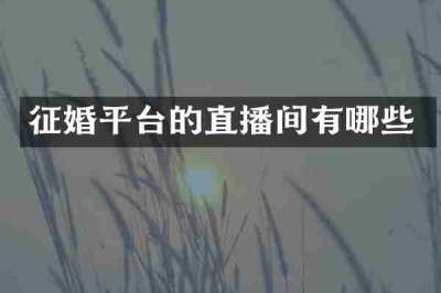 征婚平台的直播间有哪些