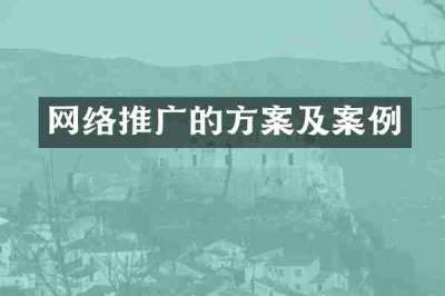 网络推广的方案及案例