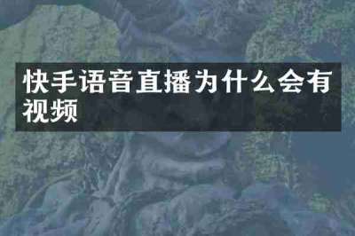 快手语音直播为什么会有视频