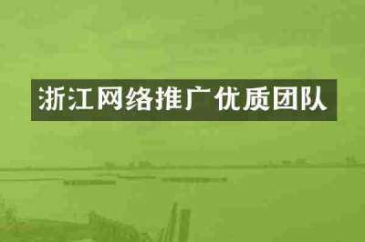 浙江网络推广优质团队