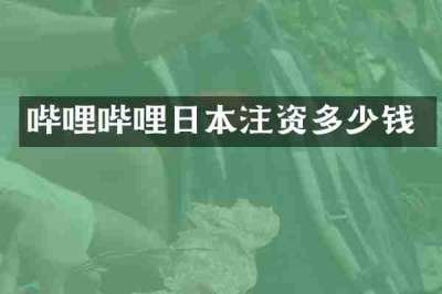哔哩哔哩日本注资多少钱