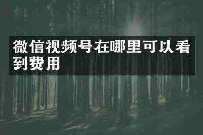 微信视频号在哪里可以看到费用