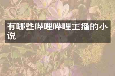 有哪些哔哩哔哩主播的小说