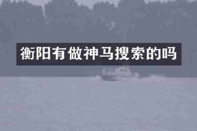 衡阳有做神马搜索的吗
