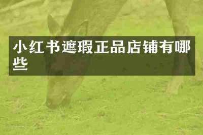 小红书遮瑕正品店铺有哪些