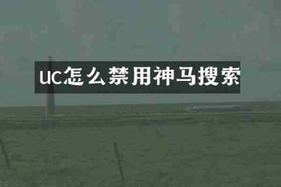uc怎么禁用神马搜索