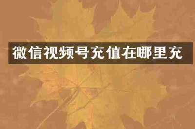 微信视频号充值在哪里充