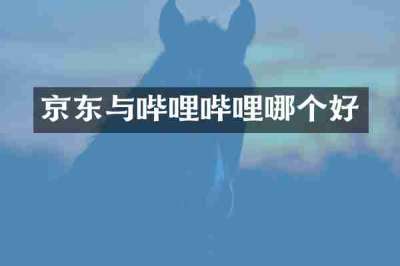京东与哔哩哔哩哪个好