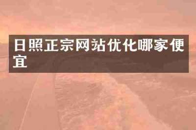 日照正宗网站优化哪家便宜