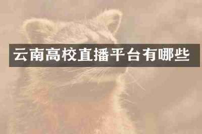 云南高校直播平台有哪些