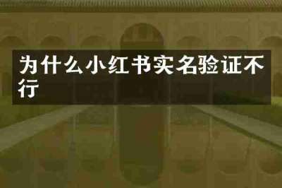 为什么小红书实名验证不行