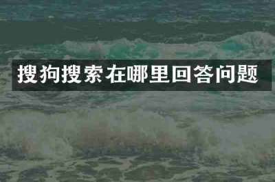 搜狗搜索在哪里回答问题