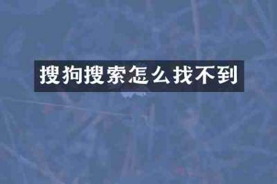 搜狗搜索怎么找不到