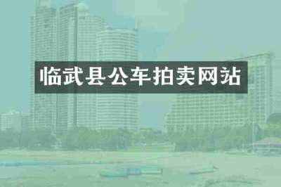 临武县公车拍卖网站