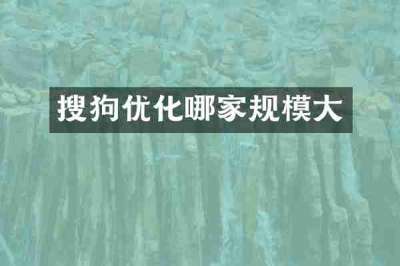 搜狗优化哪家规模大