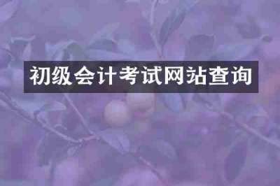 初级会计考试网站查询