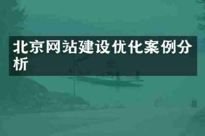 北京网站建设优化案例分析