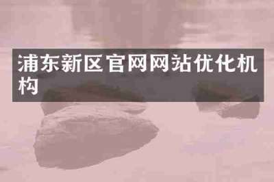 浦东新区官网网站优化机构