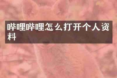 哔哩哔哩怎么打开个人资料