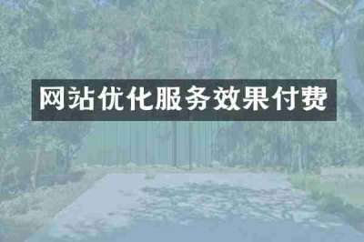 网站优化服务效果付费