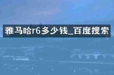 雅马哈r6多少钱_百度搜索