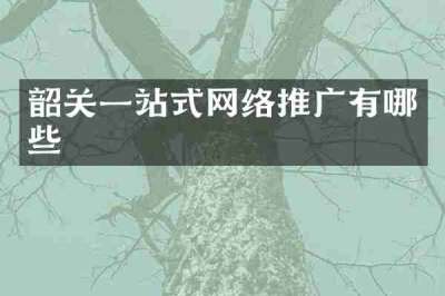 韶关一站式网络推广有哪些