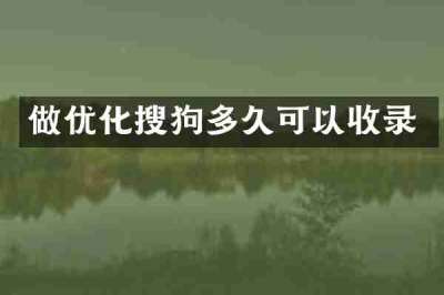 做优化搜狗多久可以收录