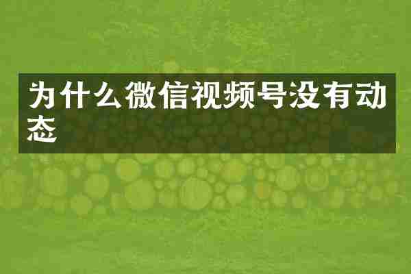 为什么微信视频号没有动态