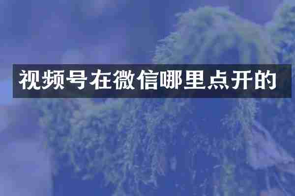 视频号在微信哪里点开的