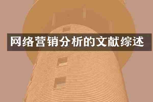 网络营销分析的文献综述