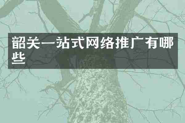 韶关一站式网络推广有哪些