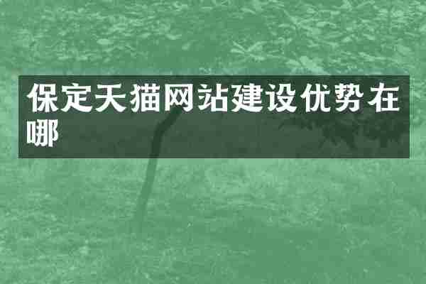 保定天猫网站建设优势在哪