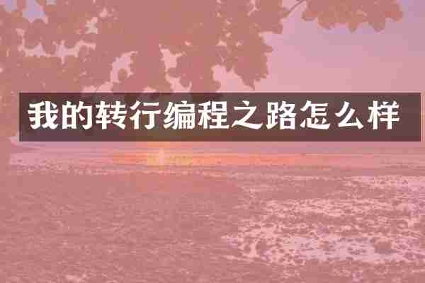 我的转行编程之路怎么样