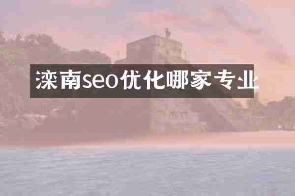 滦南seo优化哪家专业
