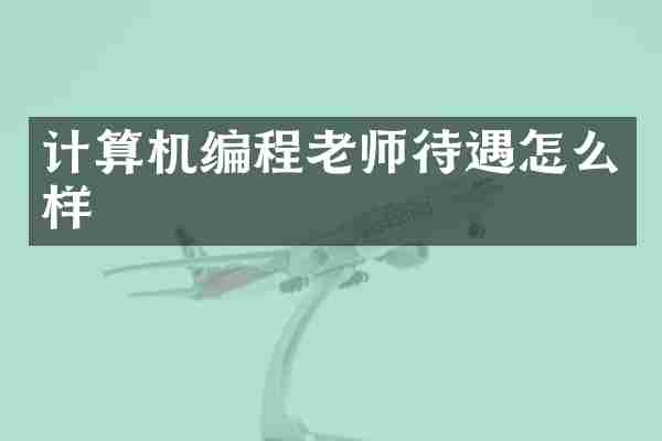 计算机编程老师待遇怎么样