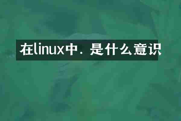 在linux中. 是什么意识