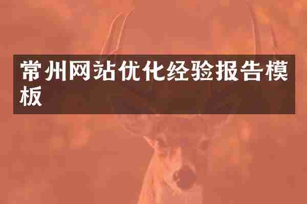 常州网站优化经验报告模板