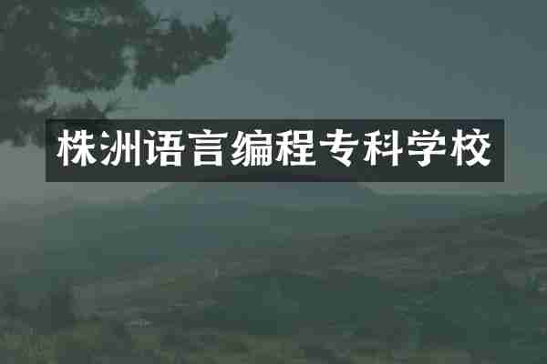株洲语言编程专科学校