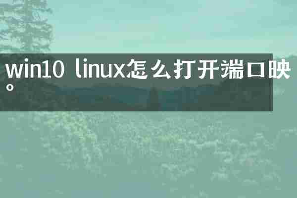 win10 linux怎么打开端口映射